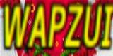 Logo wapzui 1